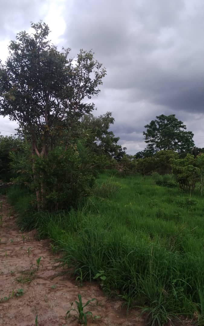 Land Dispute Resolved Through Mediation in Mwanza Chiefdom